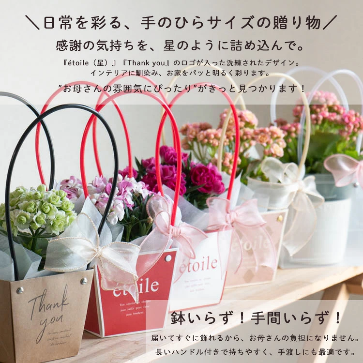 ���Ϥ��Ƥ��Τޤ��Ϥ��롿�֤���� ���٤륮�եȥХå��ڥ�����ޥ��¿������ ���տ�ʪ ���꡼�� �� ������ ���ե� �ץ쥼��� ��Ϸ ��Ϸ���� 70�� 80�� ���� ���� ���Ф������ ¹���� ������� �İ��� ���� ���� ����ƥꥢ ���ˤ� £��ʪ Ĺ���ˤ� ��Ź�ˤ� ���۽ˤ�