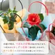 ���Ϥ��Ƥ��Τޤ��Ϥ��롿�֤���� ���٤륮�եȥХå��ڥ�����ޥ��¿������ ���տ�ʪ ���꡼�� �� ������ ���ե� �ץ쥼��� ��Ϸ ��Ϸ���� 70�� 80�� ���� ���� ���Ф������ ¹���� ������� �İ��� ���� ���� ����ƥꥢ ���ˤ� £��ʪ Ĺ���ˤ� ��Ź�ˤ� ���۽ˤ�
