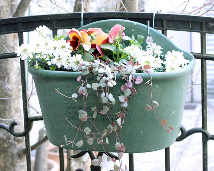 ����7���� �ϥ󥮥󥰥����ݥå�300