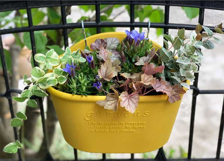 ����7���� �ϥ󥮥󥰥����ݥå�300