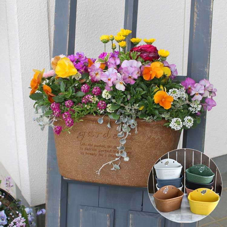 ����7���� �ϥ󥮥󥰥����ݥå�300