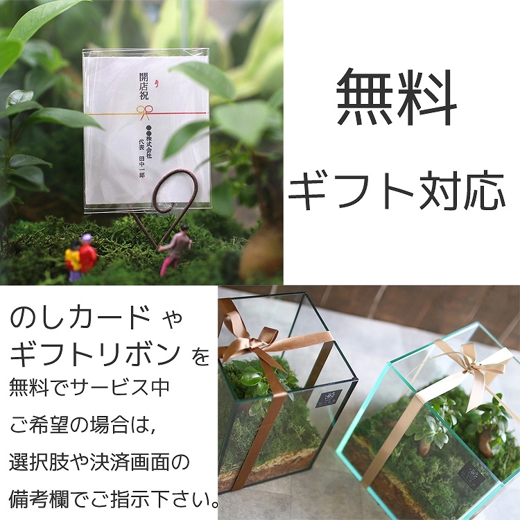 ����̵�� ���տ�ʪ [�ƥ�ꥦ��-�饦���-] (������ޥ��1) ´�� ������ ���̲� ���� ���ե� �ץ쥼���