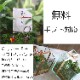 ����̵�� ���տ�ʪ [�ƥ�ꥦ��-�饦���-] (������ޥ��1) ´�� ������ ���̲� ���� ���ե� �ץ쥼���