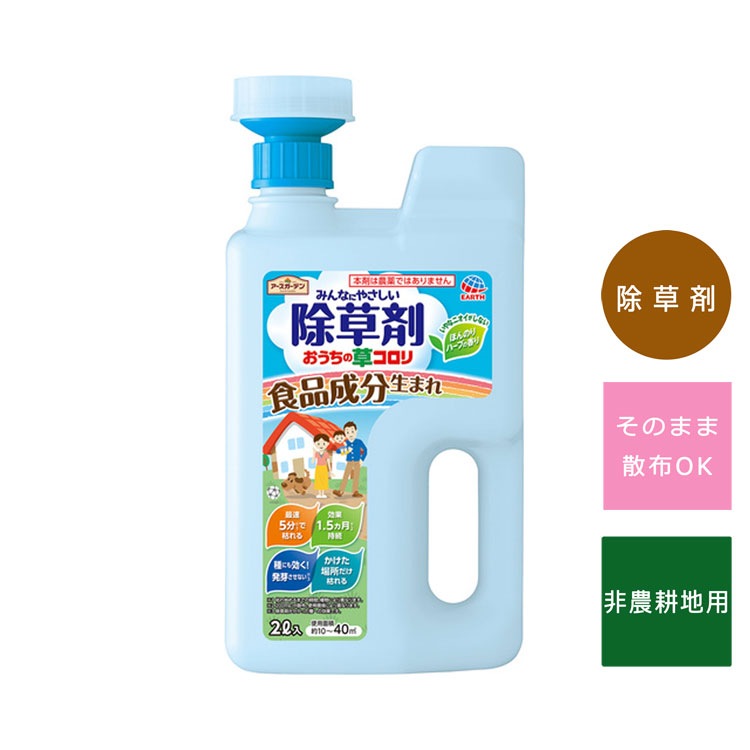 �����������ǥ� EG���������𥳥��� ���祦���إå� 2L ����������