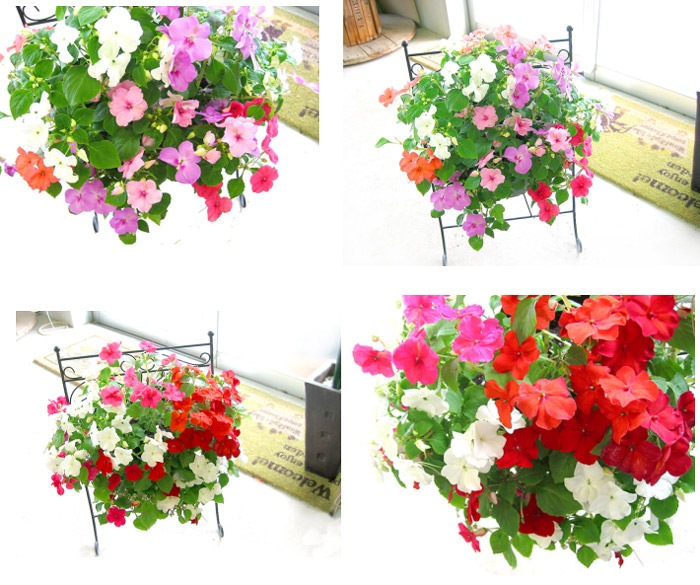 �����뤤�����Ǥ褯�餯���ϥ󥮥󥰥Х����åȡɤδ󤻿���[����ѥ�����mix]