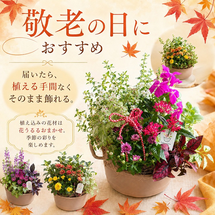 �֤���� �󤻿����ڷ�Ϸ���� ���ޤ�������󥸡ʥ��������Х����å� M�ˡ�