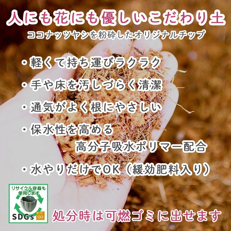 �֤���� �󤻿����ڷ�Ϸ���� ���ޤ�������󥸡ʥ��������Х����å� M�ˡ�