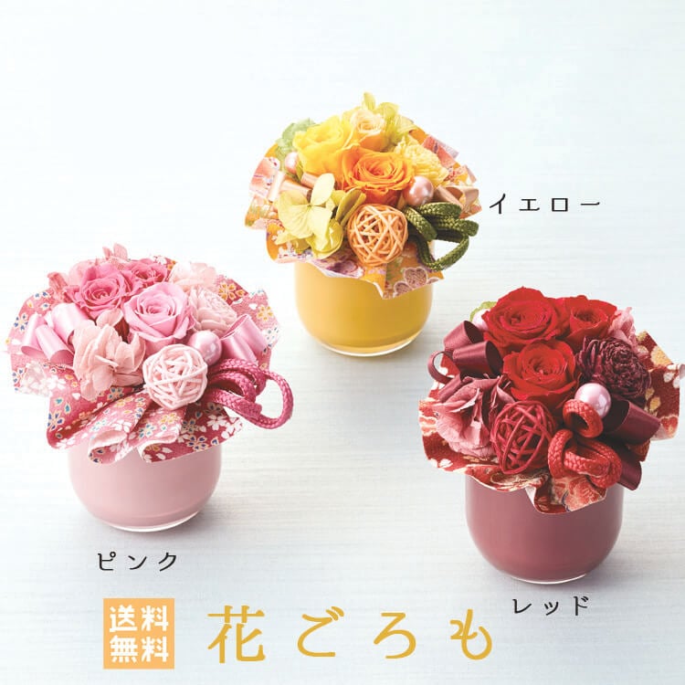 �ץꥶ���֥ɥե� �֤����� �ե�����󥸥���