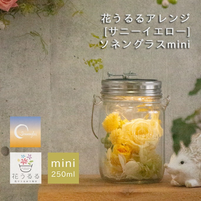  ץ쥼 ͥ󥰥饹mini߲֤ڥˡ(Ź)(ݾڽ ͥ󥰥饹 250ml  