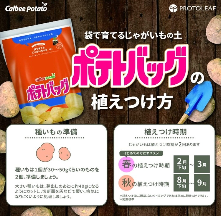 �����٤���+�����ۤΤ��ޤ��ա��ޥĥ����Τ�ʤ��������ý�������ӡ� �ݥƥȥХå� �ڤΤꤷ����12L