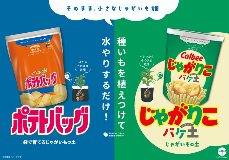 �����٤���+�����ۤΤ��ޤ��ա��ޥĥ����Τ�ʤ��������ý�������ӡ� �ݥƥȥХå� �ڤΤꤷ����12L