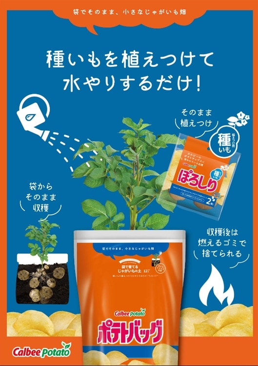 �����٤���+�����ۤΤ��ޤ��ա��ޥĥ����Τ�ʤ��������ý�������ӡ� �ݥƥȥХå� �ڤΤꤷ����12L