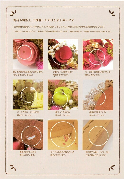 ¨ȯOKץ쥼  ꡼ ɥ饤ե [ԥ󥯥ϡ 5051-B]ľ23.5cm