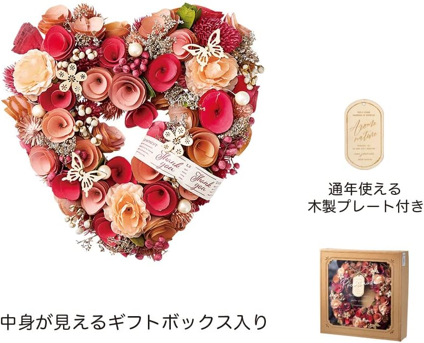 ¨ȯOKץ쥼  ꡼ ɥ饤ե [ԥ󥯥ϡ 5051-B]ľ23.5cm