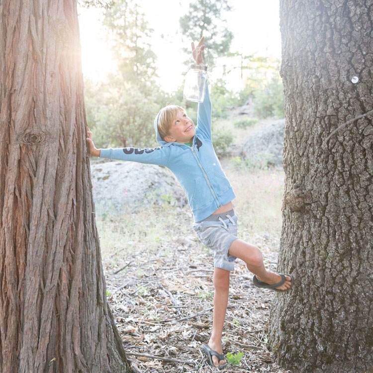 ��¨��ȯ����OK�� �ץ쥼��� ���ͥ󥰥饹�߲֤����ڥѥ��ƥ����������Ź(�ݾڽ��� 1000ml ��󥿥� led �����顼 ���ż� �ɺ� �ҳ��� ����ƥꥢ �ץ쥼��� ���۽ˤ� �饤�� ������� �� �ե����ե� ������ ���� �ɥ饤�ե� �� ��Ϸ����