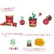 �ڿ͵�����ť� ���ޤ��աۤ��Ĥޤ���Хå� 15L(�ȤϤ뤫 ��Ǽ�� �Ȥ���� ̪�� ��� ������ �Ȥ����ޡ�