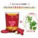 �ڿ͵�����ť� ���ޤ��աۤ��Ĥޤ���Хå� 15L(�ȤϤ뤫 ��Ǽ�� �Ȥ���� ̪�� ��� ������ �Ȥ����ޡ�
