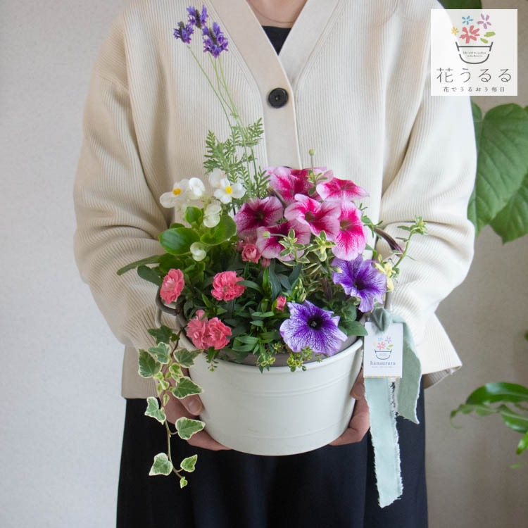 ����� ���ե� �٤�Ƥ����� �֤���� �󤻿��� ����̵���֥����͡������ ����� M��������