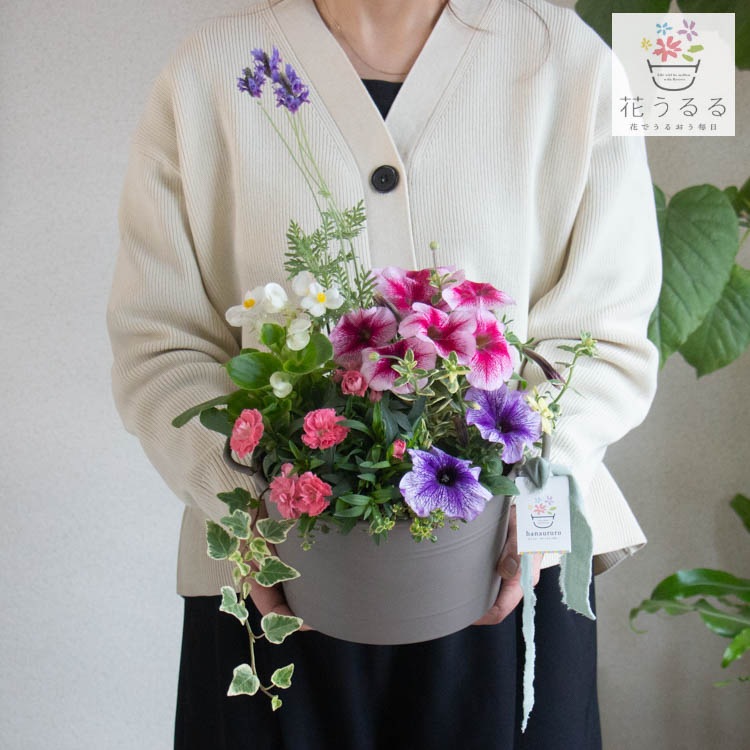 ����� ���ե� �٤�Ƥ����� �֤���� �󤻿��� ����̵���֥����͡������ ����� M��������