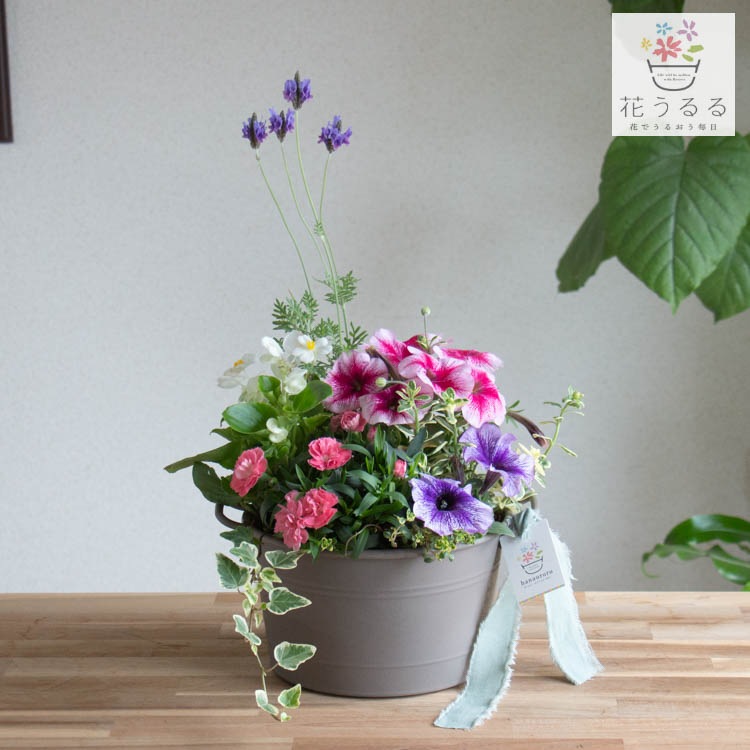 ����� ���ե� �٤�Ƥ����� �֤���� �󤻿��� ����̵���֥����͡������ ����� M��������