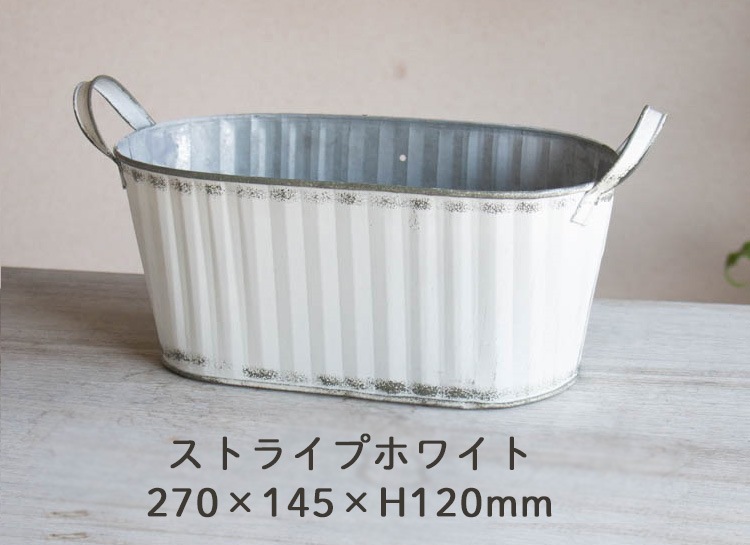ڥ֥ꥭ ץ󥿡 󤻿۲֤ ޤ[Ĺ] 