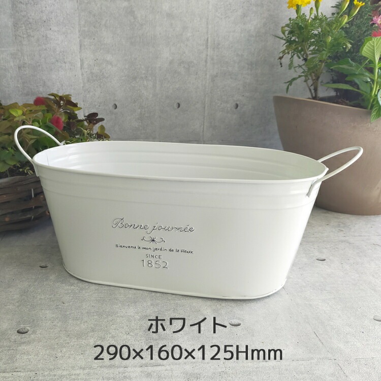 ڥ֥ꥭ ץ󥿡 󤻿۲֤ ޤ[Ĺ] 