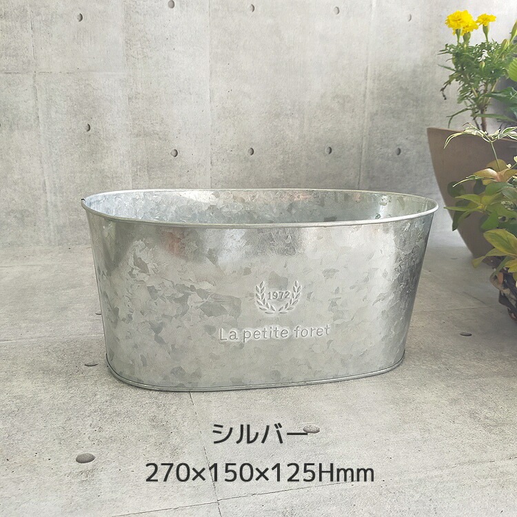ڥ֥ꥭ ץ󥿡 󤻿۲֤ ޤ[Ĺ] 