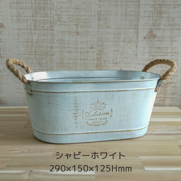ڥ֥ꥭ ץ󥿡 󤻿۲֤ ޤ[Ĺ] 