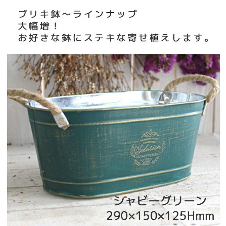 ڥ֥ꥭ ץ󥿡 󤻿۲֤ ޤ[Ĺ] 