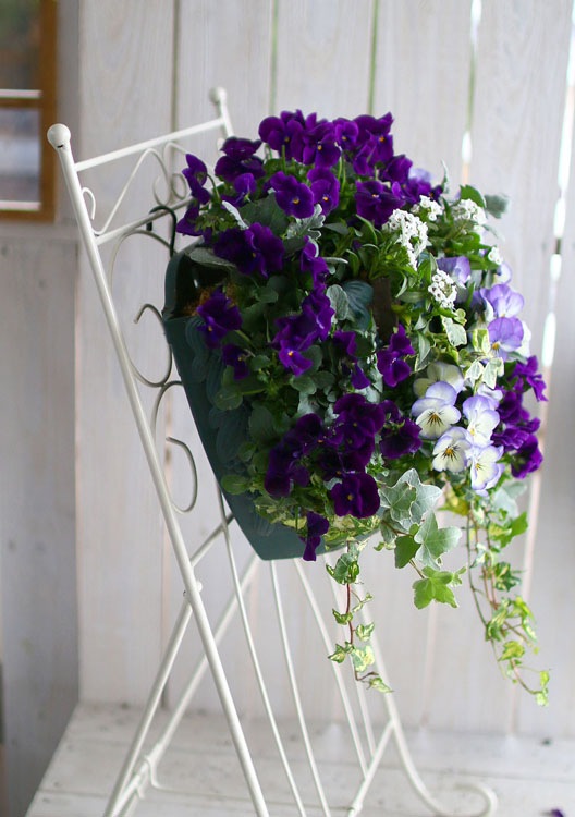 ӥΥϥ󥮥󥰥Хå ֤ 󤻿 [ץߥ] L