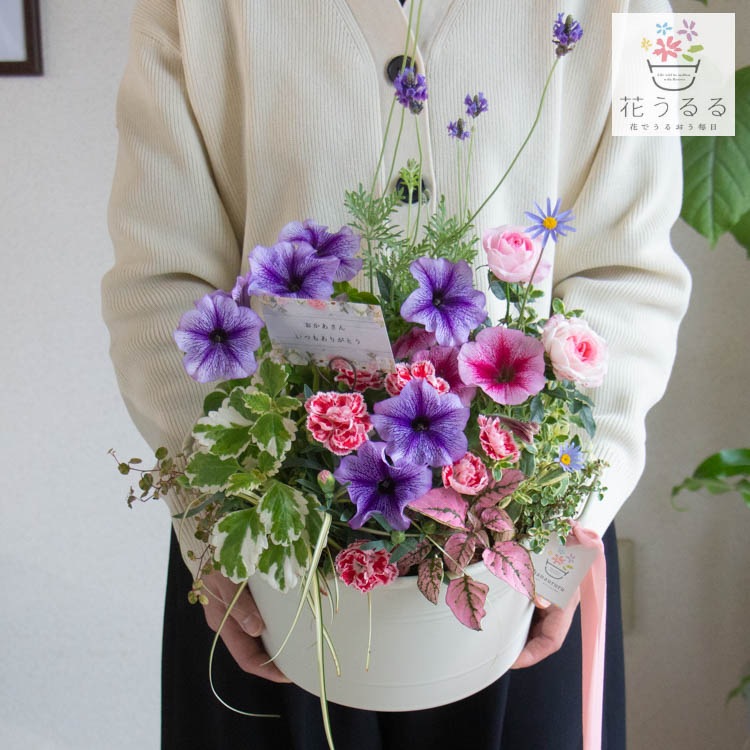 ����� ���ե� �٤�Ƥ����� �֤���� �󤻿��� ����̵���֥����͡������ ����� L��������