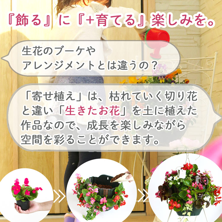 ����� ���ե� �٤�Ƥ����� �֤���� �󤻿��� ����̵���֥����͡������ ����� L��������