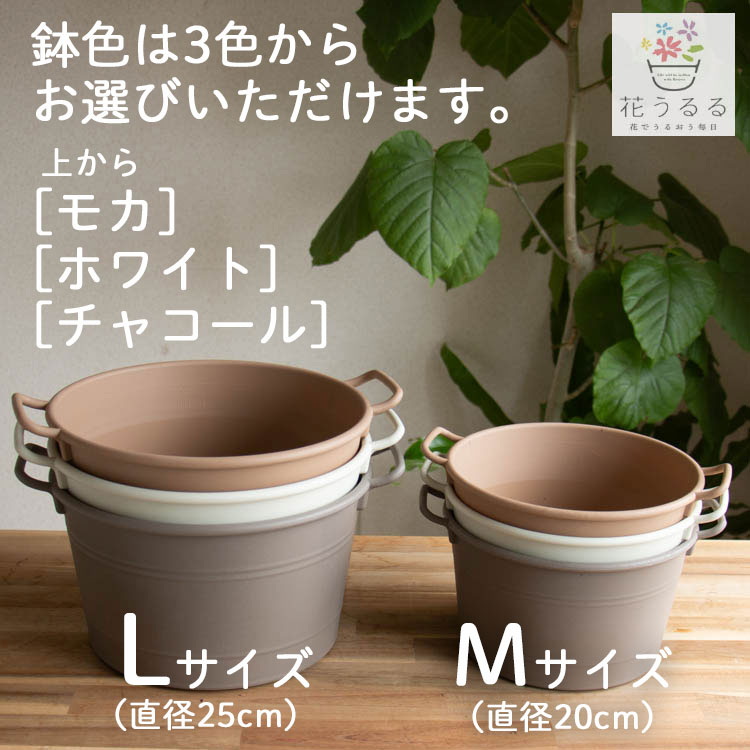 ����� ���ե� �٤�Ƥ����� �֤���� �󤻿��� ����̵���֥����͡������ ����� L��������