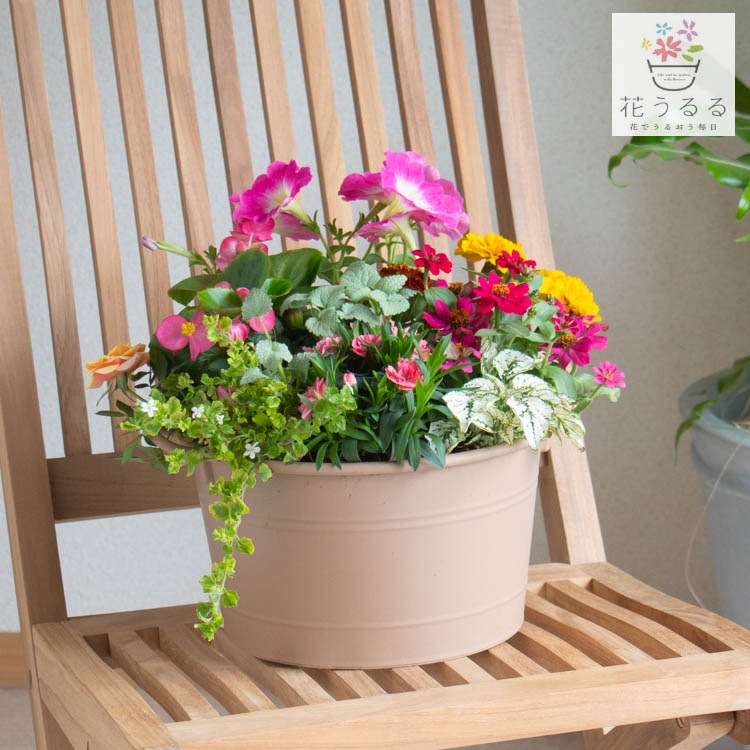 ����� ���ե� �٤�Ƥ����� �֤���� �󤻿��� ����̵���֥����͡������ ����� L��������