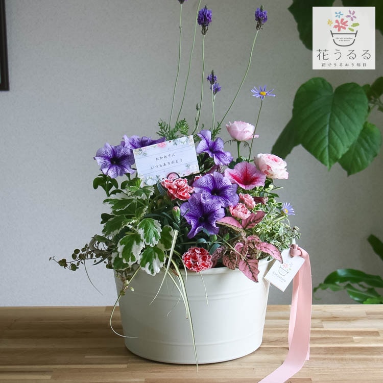 ����� ���ե� �٤�Ƥ����� �֤���� �󤻿��� ����̵���֥����͡������ ����� L��������