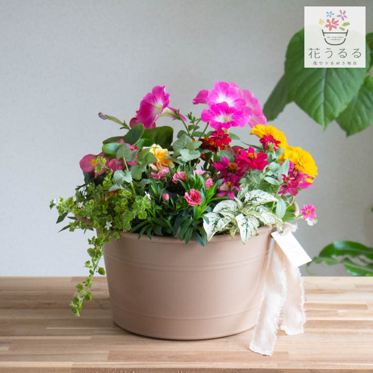 ����� ���ե� �٤�Ƥ����� �֤���� �󤻿��� ����̵���֥����͡������ ����� L��������