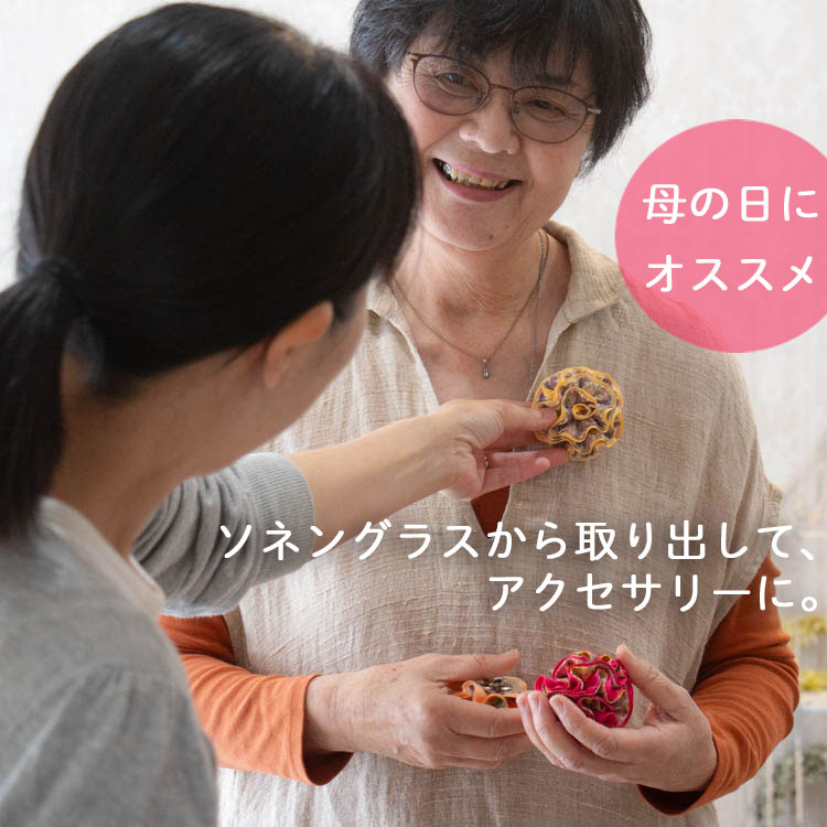 ��¨��ȯ����OK�� �ץ쥼��ȡڥ�����ܥ�in ���ͥ󥰥饹�۲֤���� ��������Ź(�ݾڽ��� 1000ml ��󥿥� led �����顼 ���ż� �ɺ� �ҳ��� ����ƥꥢ �ץ쥼��� ���۽ˤ� �饤�� ������� �� �ե����ե� ������ ���� �ɥ饤�ե� �� ��Ϸ����