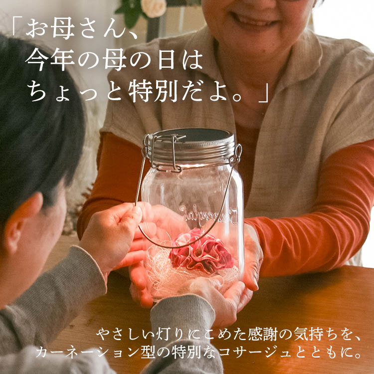 ��¨��ȯ����OK�� �ץ쥼��ȡڥ�����ܥ�in ���ͥ󥰥饹�۲֤���� ��������Ź(�ݾڽ��� 1000ml ��󥿥� led �����顼 ���ż� �ɺ� �ҳ��� ����ƥꥢ �ץ쥼��� ���۽ˤ� �饤�� ������� �� �ե����ե� ������ ���� �ɥ饤�ե� �� ��Ϸ����