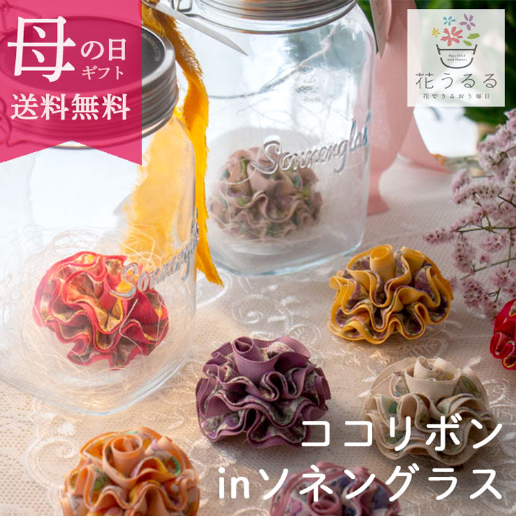 ��¨��ȯ����OK�� �ץ쥼��ȡڥ�����ܥ�in ���ͥ󥰥饹�۲֤���� ��������Ź(�ݾڽ��� 1000ml ��󥿥� led �����顼 ���ż� �ɺ� �ҳ��� ����ƥꥢ �ץ쥼��� ���۽ˤ� �饤�� ������� �� �ե����ե� ������ ���� �ɥ饤�ե� �� ��Ϸ����