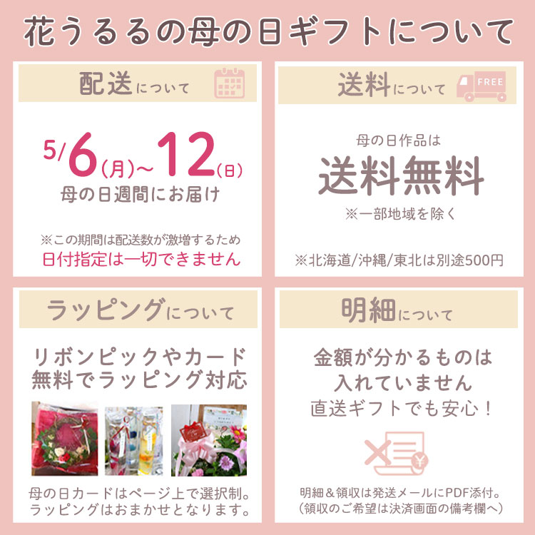 ��¨��ȯ����OK�� �ץ쥼��ȡڥ�����ܥ�in ���ͥ󥰥饹�۲֤���� ��������Ź(�ݾڽ��� 1000ml ��󥿥� led �����顼 ���ż� �ɺ� �ҳ��� ����ƥꥢ �ץ쥼��� ���۽ˤ� �饤�� ������� �� �ե����ե� ������ ���� �ɥ饤�ե� �� ��Ϸ����