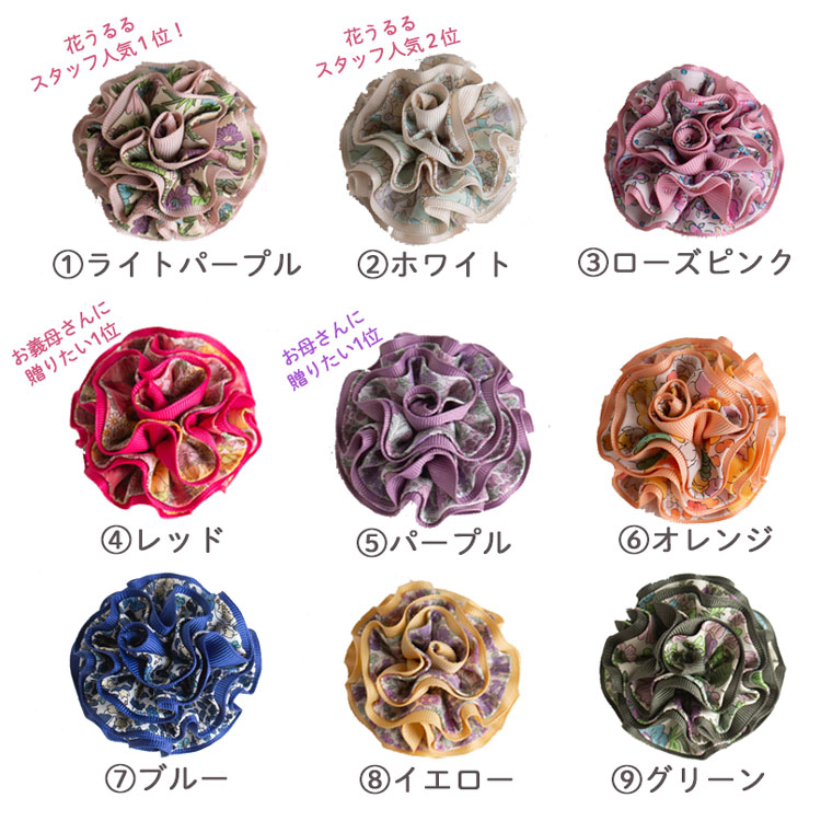 ��¨��ȯ����OK�� �ץ쥼��ȡڥ�����ܥ�in ���ͥ󥰥饹�۲֤���� ��������Ź(�ݾڽ��� 1000ml ��󥿥� led �����顼 ���ż� �ɺ� �ҳ��� ����ƥꥢ �ץ쥼��� ���۽ˤ� �饤�� ������� �� �ե����ե� ������ ���� �ɥ饤�ե� �� ��Ϸ����