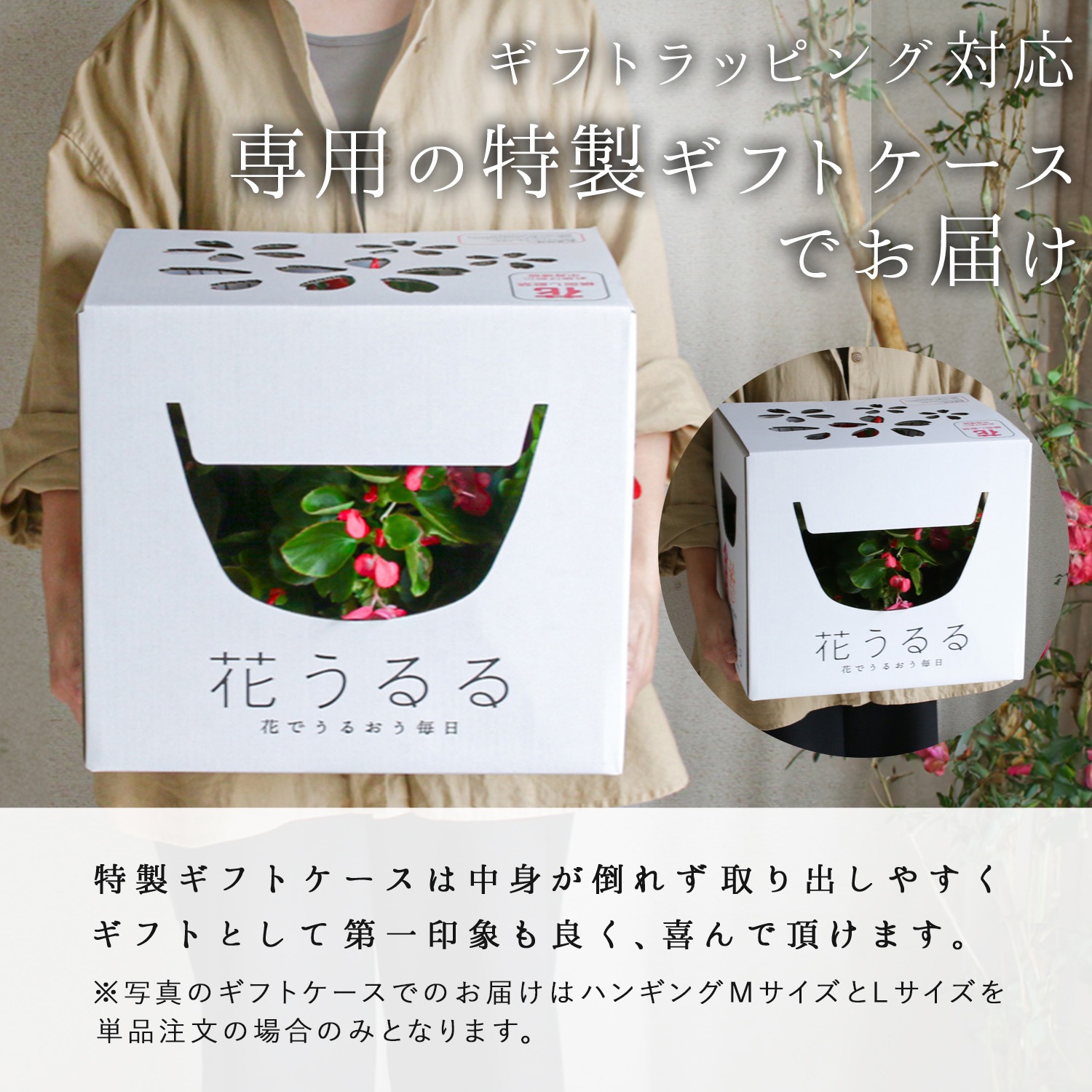 ��� �ϥ󥮥󥰥Х����å� �󤻿��� [�٥��˥���] M������