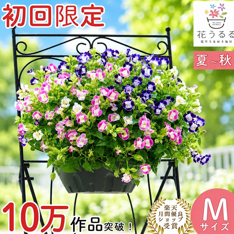 ��� �ϥ󥮥󥰥Х����å� �󤻿��� [�ȥ�˥���] M������ 