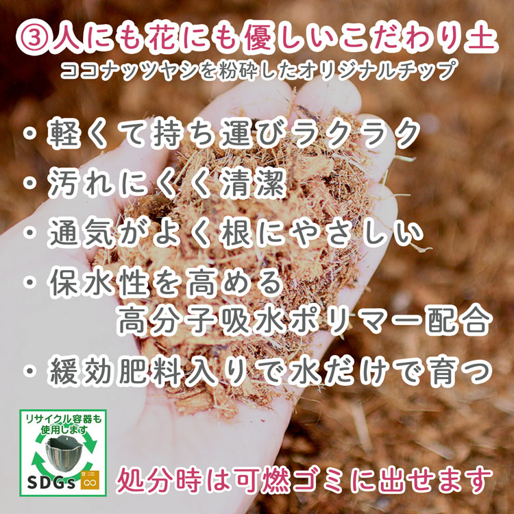 ��� �ϥ󥮥󥰥Х����å� �󤻿��� [�٥��˥���] M������
