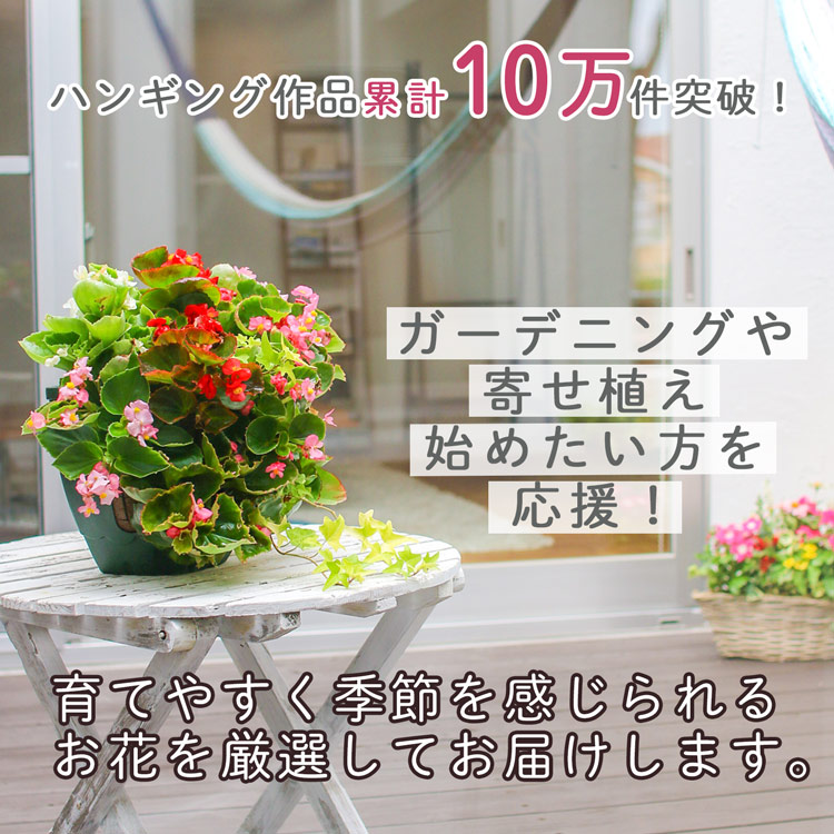 ��� �ϥ󥮥󥰥Х����å� �󤻿��� [�٥��˥���] M������