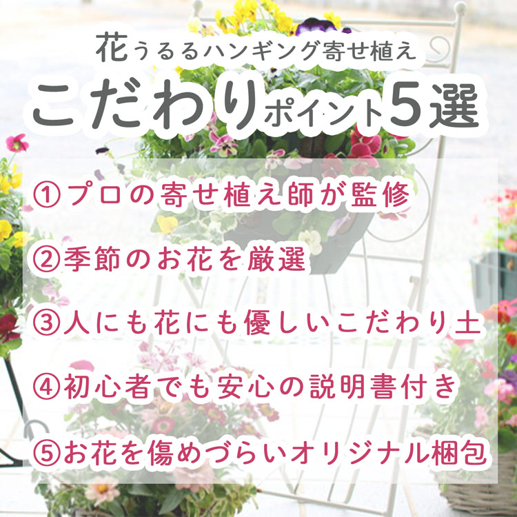��� �ϥ󥮥󥰥Х����å� �󤻿��� [�٥��˥���] M������