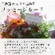 ��� �ϥ󥮥󥰥Х����å� �󤻿��� [�٥��˥���] M������