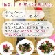 ��� �ϥ󥮥󥰥Х����å� �󤻿��� [�٥��˥���] M������