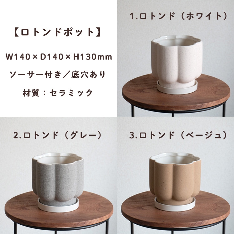 ���֤���� ���ޤ������ֵ���δ󤻿���in�ݥå�(5�極����)��