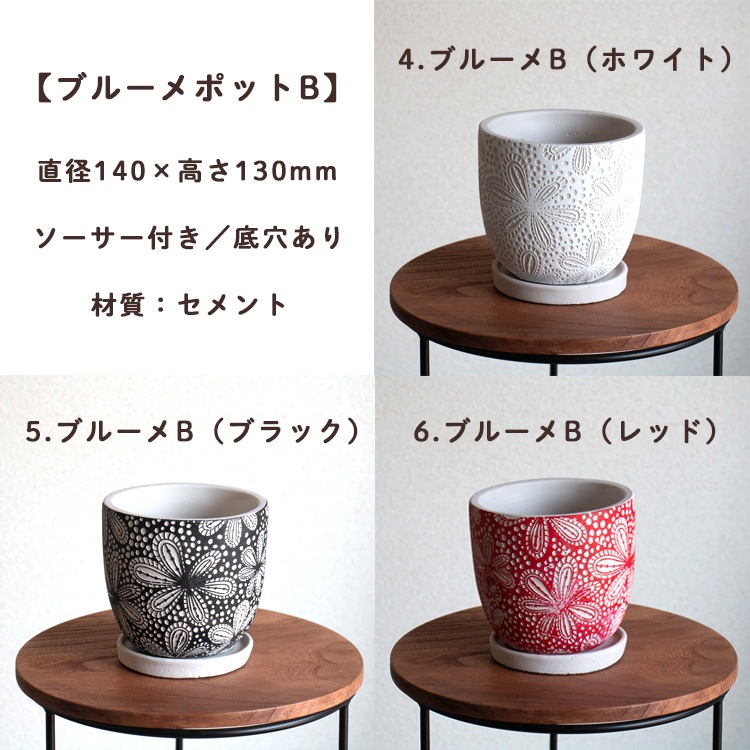 ���֤���� ���ޤ������ֵ���δ󤻿���in�ݥå�(5�極����)��